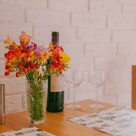 Spacious 1 Bed Flat Near Vitosha Blvd Daire