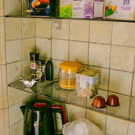 Spacious 1 Bed Flat Near Vitosha Blvd