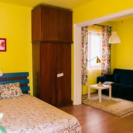 Spacious 1 Bed Flat Near Vitosha Blvd Apartment Sofia