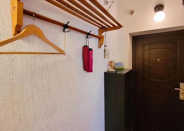 Spacious 1 Bed Flat Near Vitosha Blvd アパート *