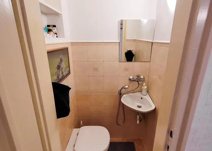 Spacious 1 Bed Flat Near Vitosha Blvd