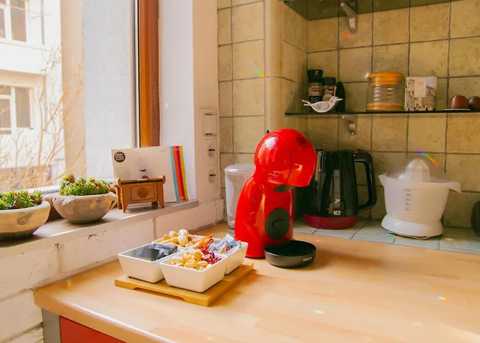 Spacious 1 Bed Flat Near Vitosha Blvd